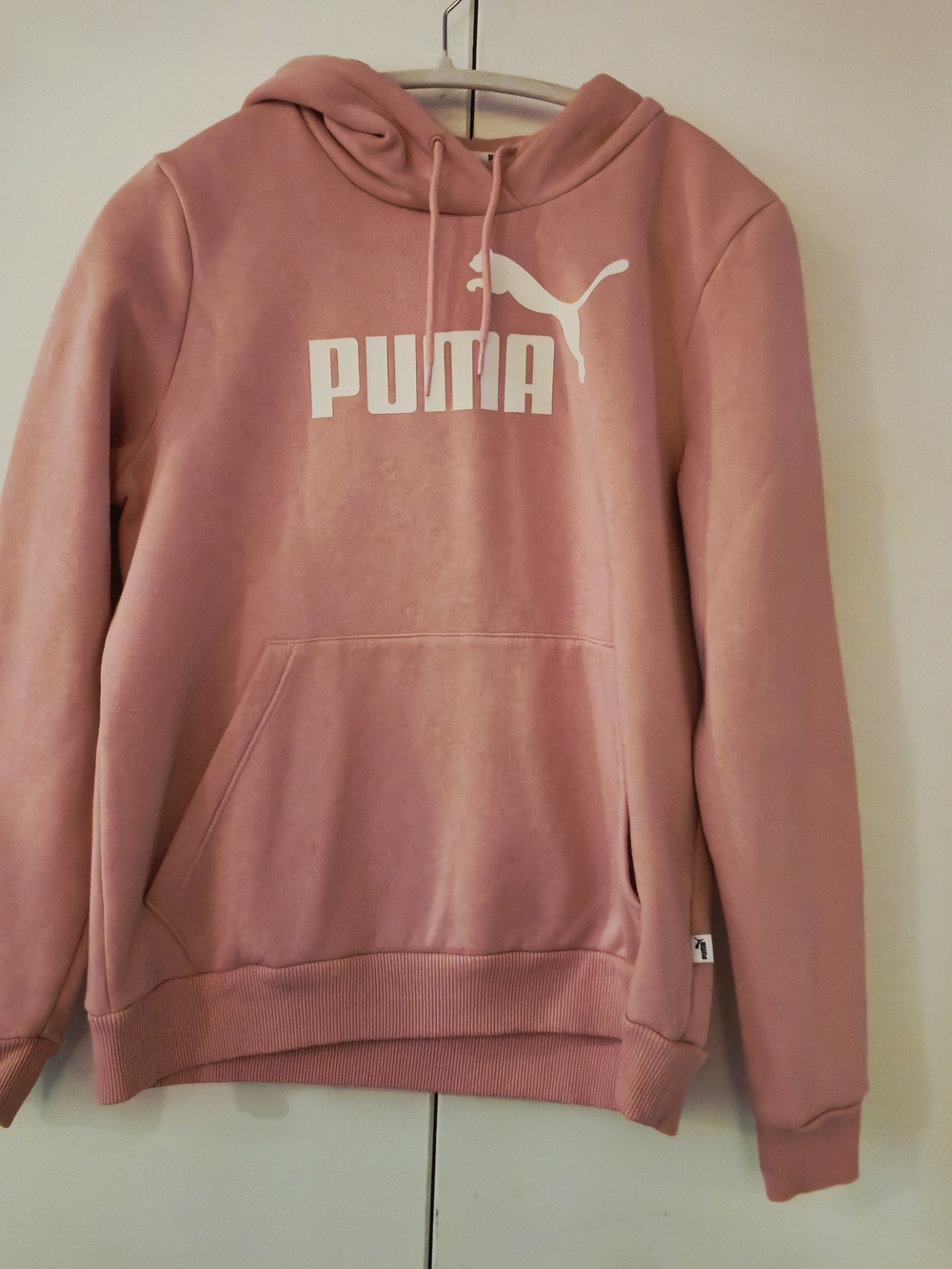 Puma Kids Dusty Rose Hooded Sweatshirt